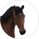 Marie-Perle F. profile picture